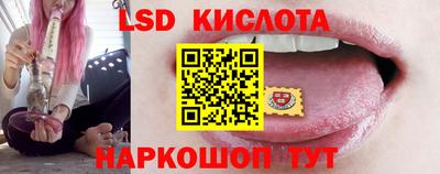 прущие грибы Усть-Джегута