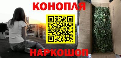прущие грибы Усть-Джегута