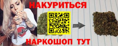 прущие грибы Усть-Джегута