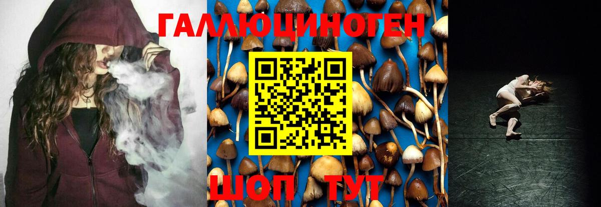 Псилоцибиновые грибы GOLDEN TEACHER  Вход с VPN  Балашиха 